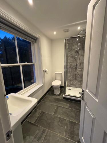 a bathroom with a sink and a shower and a toilet at Brandon House in Brandon