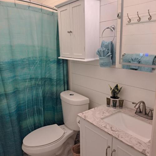 a bathroom with a toilet and a sink and a shower at Spacious Studio Near Beaches & Dining in Waikoloa Village