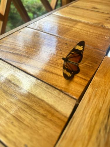 Imagem da galeria de Refugio la Arboleda em São Rafael