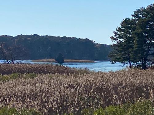 een grasveld met een rivier en bomen bij Wellfleet Home in Wellfleet