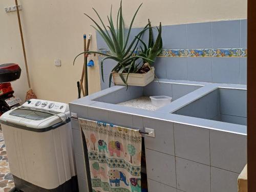 a kitchen with a sink and a potted plant at Habitación con parqueadero in Armenia