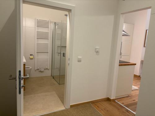 Mitten in der Altstadt und der Thermenregion, neu und ruhig في هارتبرج: حمام مع مرحاض وباب زجاجي