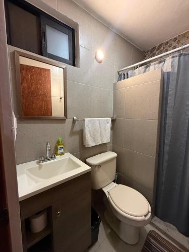 a small bathroom with a toilet and a sink at Lofts de Mexiamora in Guanajuato