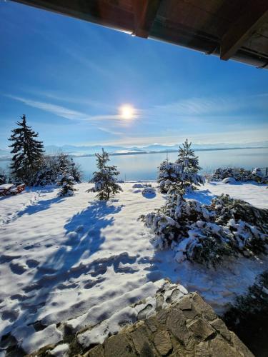 a view of snow covered trees on top of a mountain at Zrub JESPER in Liptovský Trnovec