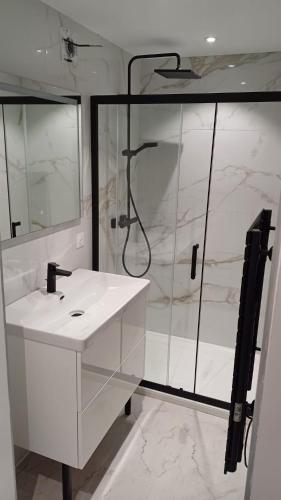 a white bathroom with a shower and a sink at Domaine de la Vacquerie in Alette