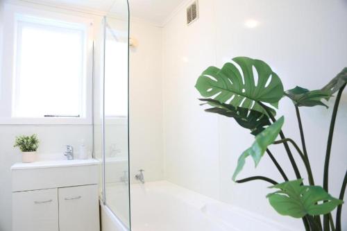 a bathroom with a shower and a plant at Skyline Urban - Entire Apartment with View, Netflix, Nespresso, and Street Parking in Wellington
