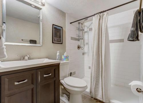 a bathroom with a toilet and a sink and a shower at Institute Den Downtown Modern Basement Suite in Colorado Springs