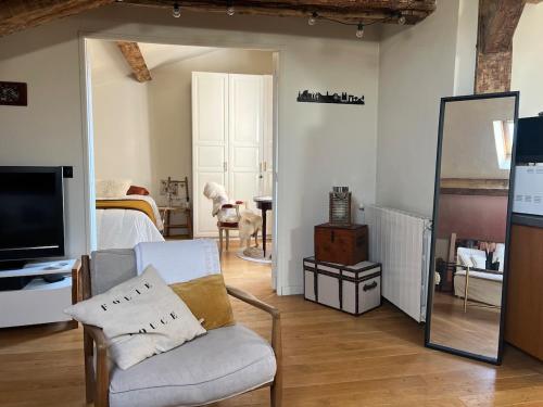 een woonkamer met een stoel en een televisie bij Nid douillet sous les toits bourguignons in Dijon