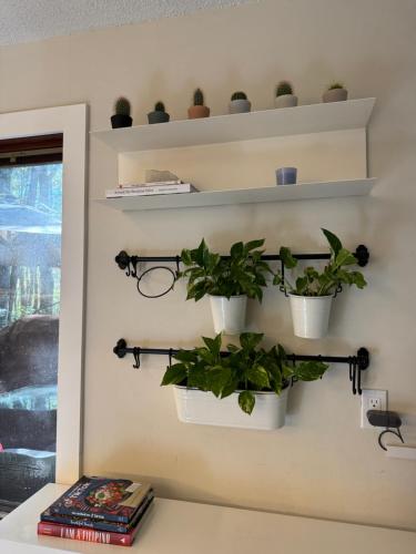 two potted plants on shelves on a wall at Poconos Chalet -Kayaks- HotTub-Karaoke-Lake in East Stroudsburg