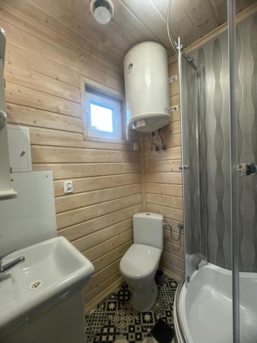 斯特日察Domek Helenka的浴室里有马桶、洗手池和淋浴。