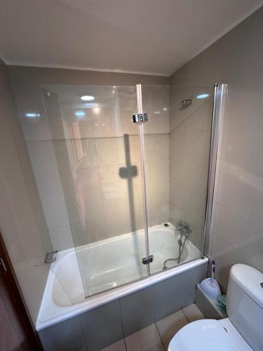 El CerrilloDepto en Viña del Mar Mariposa 2 suites的带淋浴、浴缸和卫生间的浴室