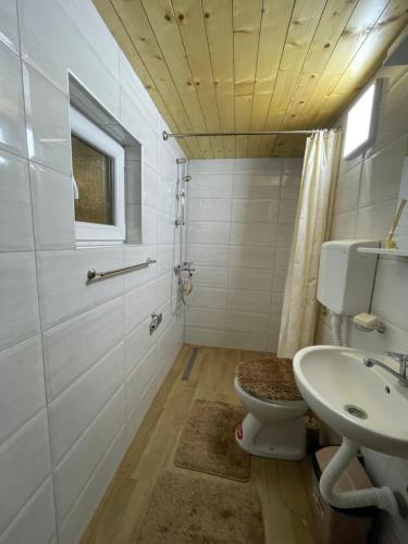 ein Badezimmer mit Toilette und Waschbecken in der Unterkunft Planinska kuca ANDJELA 2 in Mitrovac