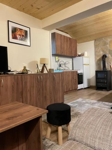 eine Küche mit Holzschränken und einer Arbeitsplatte in der Unterkunft Planinska kuca ANDJELA 2 in Mitrovac