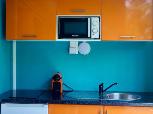 Η κουζίνα ή μικρή κουζίνα στο Le 116, studio chaleureux proche plage privée