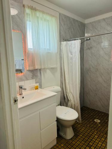a bathroom with a toilet and a sink and a shower at Hatton Vale Motel in Hatton Vale