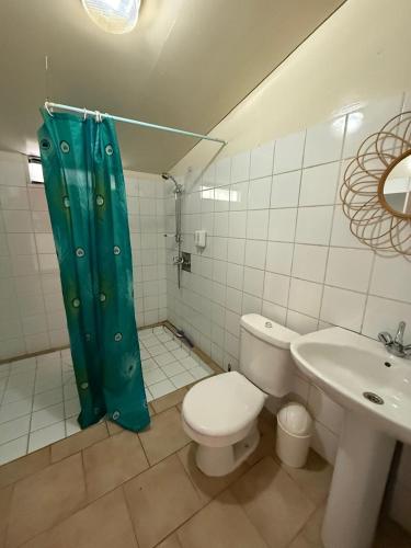 a bathroom with a toilet and a shower and a sink at Chez Aroro Beach House in Avatoru