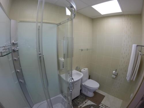 La salle de bains est pourvue d'une douche et de toilettes. dans l'établissement Kambarių nuoma Kačerginės kurorte, à Kačerginė
