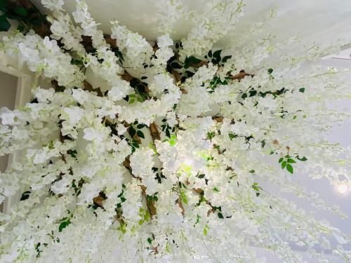Jardín al aire libre en Evasion romantique à Vichy
