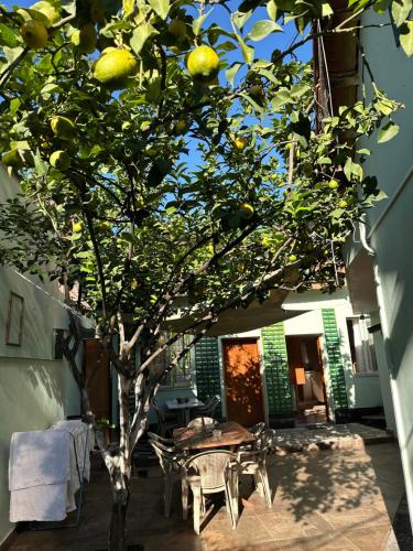 Afbeelding uit fotogalerij van Tirana Lemon Breeze Hostel in Tirana