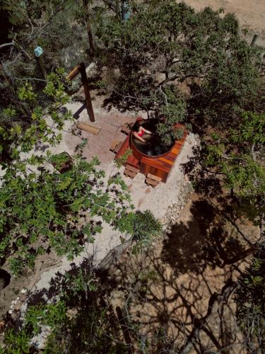 an overhead view of a garden with a wooden bench at Chales Estrela Veadeiros Com Ofurô in Alto Paraíso de Goiás