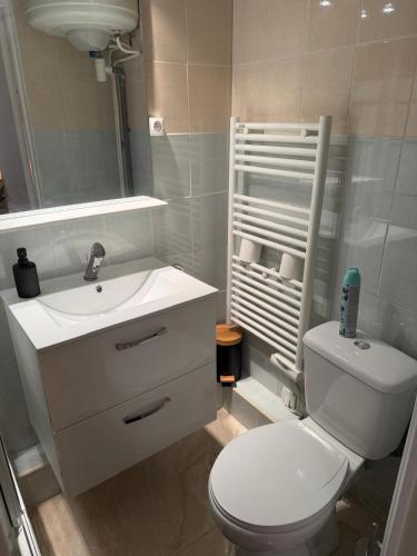 Studio Cosy في Auneau: حمام به مرحاض أبيض وحوض غسيل