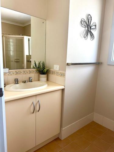 a bathroom with a sink and a mirror at Among the Gums in Clare