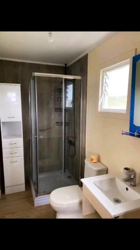 a bathroom with a shower and a toilet and a sink at Cabaña Licarayén in Puerto Varas
