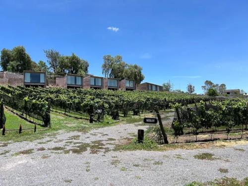Afbeelding uit fotogalerij van Hacienda Lagunillas in Querétaro