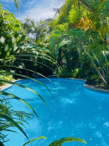 a blue swimming pool in a jungle with palm trees at Tallow Beach Motel in Byron Bay