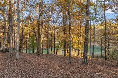 a forest of trees with leaves on the ground at Secluded Lakeview Retreat 10 Mins to Leipers Fork in Kingfield