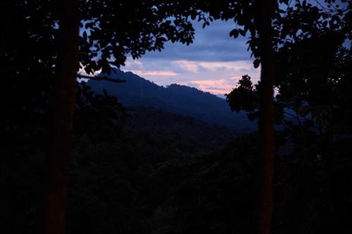 Fotografie z fotogalerie ubytování Amazing Mountain View Lodge with Pool v destinaci Kuala Kubu Baharu