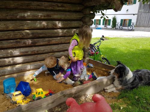 three children playing in a sandbox with a dog at Biobauernhof Stegerbauer in Maria Alm am Steinernen Meer