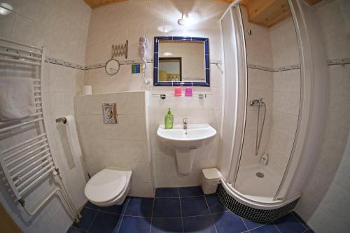 een badkamer met een wastafel, een toilet en een douche bij Hotel Kreta in Kutná Hora