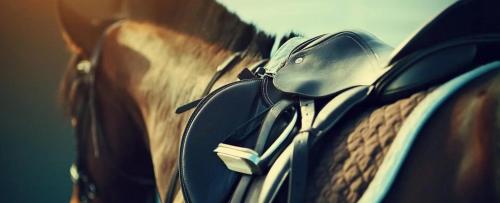 a brown horse with a saddle on its back at A Ga Ming Escape Best Torch Lake Views Golf 755 in Creswell