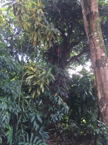Jardín al aire libre en A Welcome Break Hostal