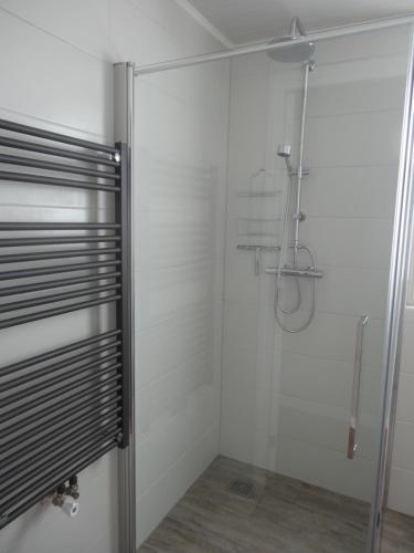 una ducha con puerta de cristal en un baño en Zilvermeeuw - Drieplassenweg, en Katwijk