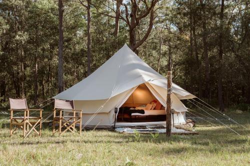 Příroda nedaleko luxury tent