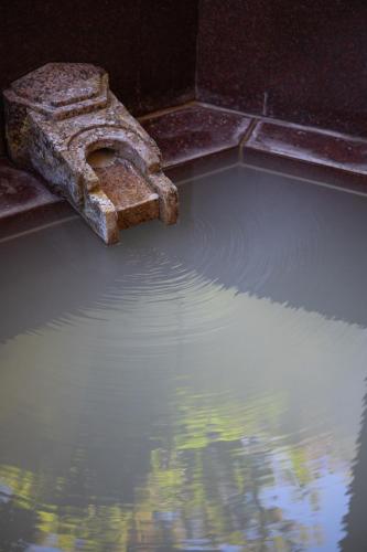 Villa Tombo Hakone