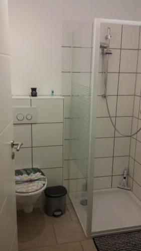 a bathroom with a shower and a toilet at Wellness Pension Salzgrotte in Sondernau