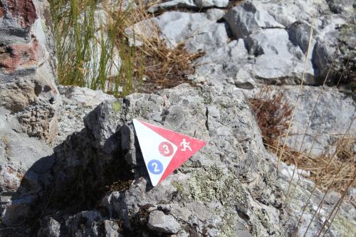a kite sitting on top of a rock at Casa do Rio - Penacova in Raiva