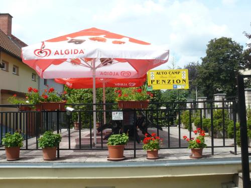 an umbrella and potted plants on a fence at Penzion Dana Troja in Prague