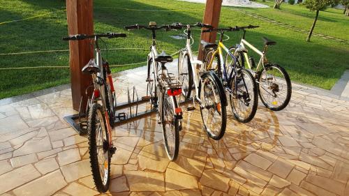 Attività di ciclismo presso l'hotel o nelle vicinanze