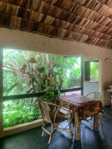 育空河Furahia Eco Inn的相册照片