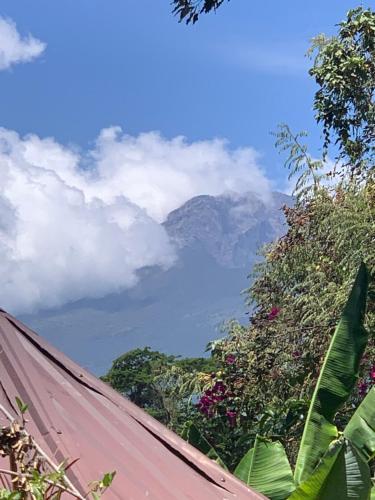 育空河Furahia Eco Inn的相册照片