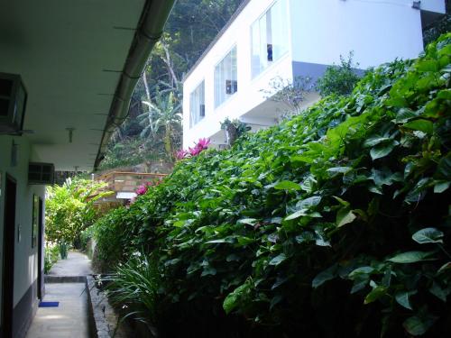 a hedge of green plants next to a building at Pousada Piquara in Mangaratiba
