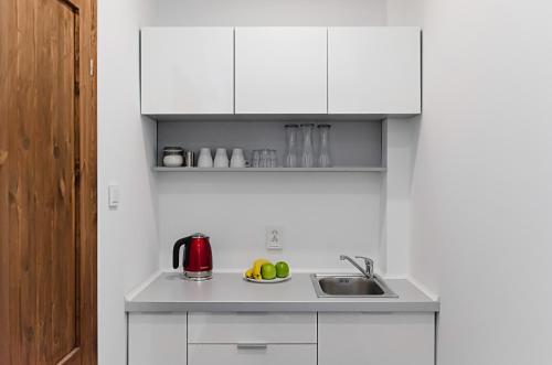 Kuchyňa alebo kuchynka v ubytovaní Apartament Wierzbięcice