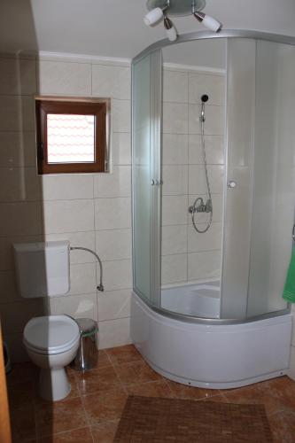 a bathroom with a toilet and a shower with a glass door at Pensiunea Casa Noastra in Baia de Fier