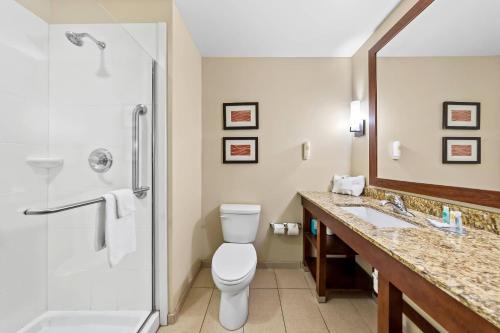 a bathroom with a toilet and a shower and a sink at Comfort Inn & Suites West - Medical Center in Rochester