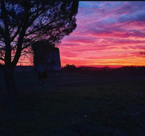 Φωτογραφία από το άλμπουμ του Le grand gîte du Causse σε Cuq-Toulza