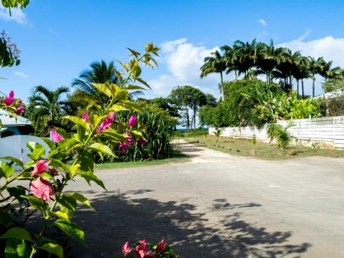 a driveway with palm trees and pink flowers at Coco Bungalows in Sainte-Rose